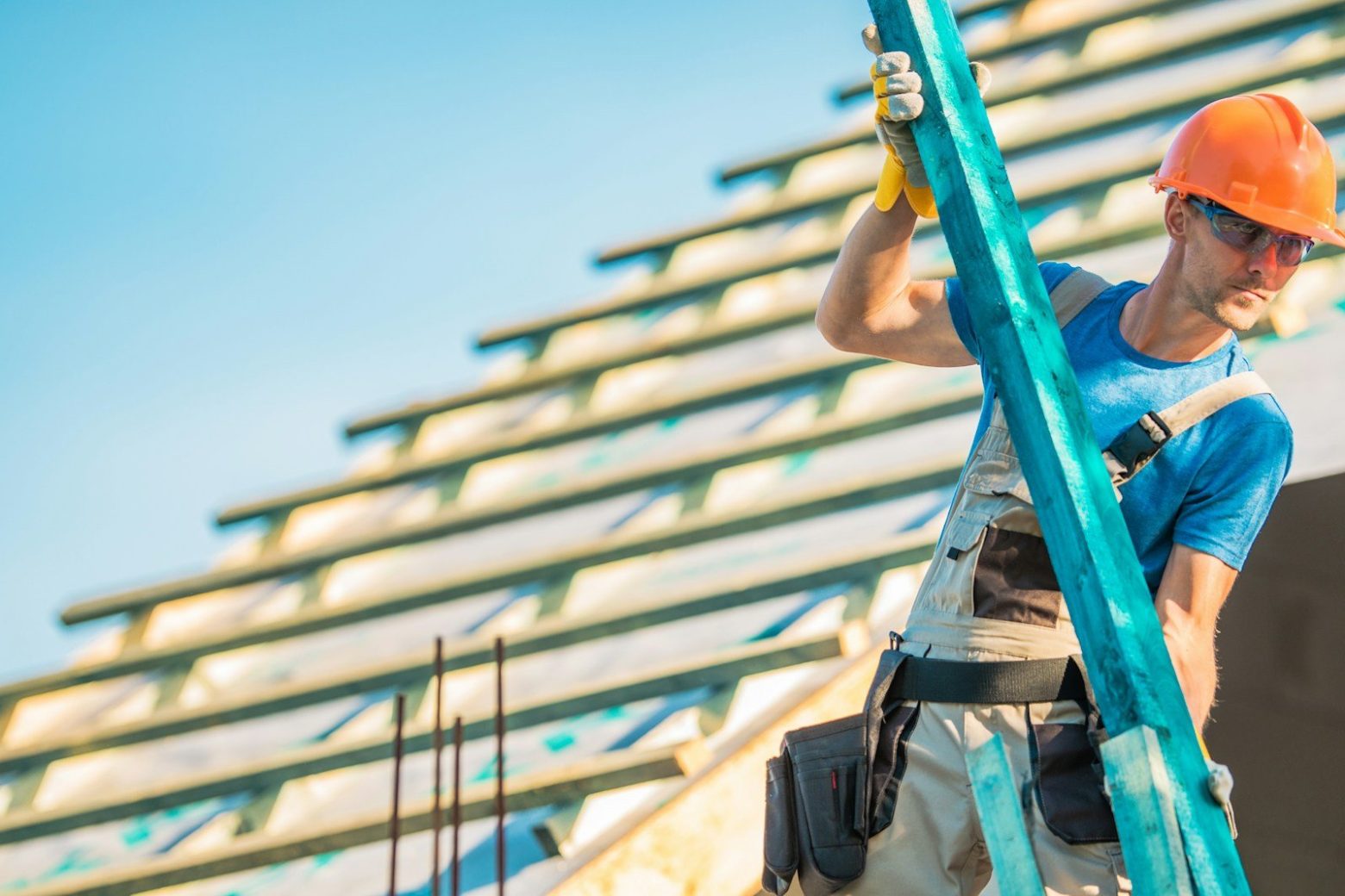 Roof Maintenance