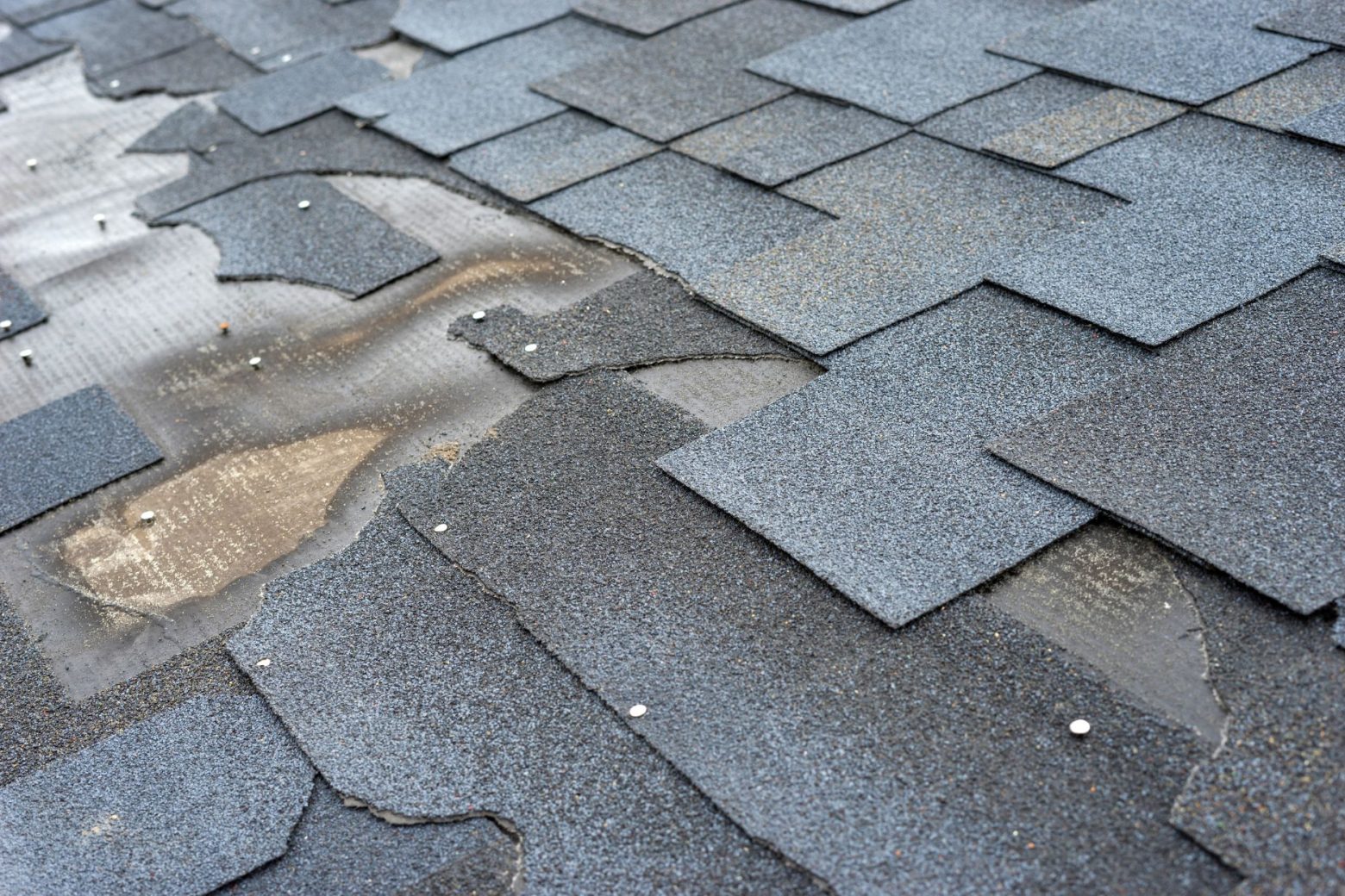 damaged roof