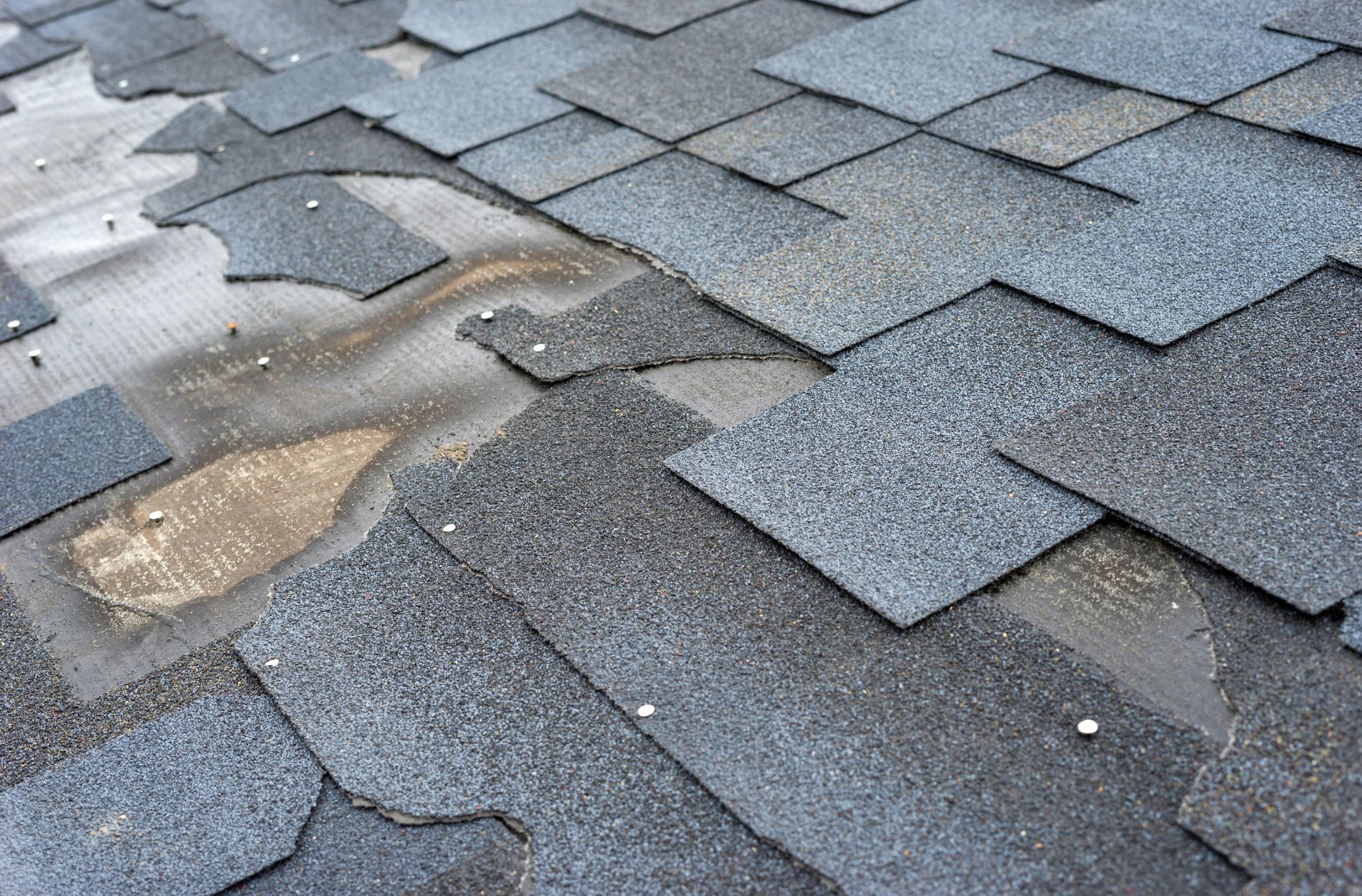 damaged roof